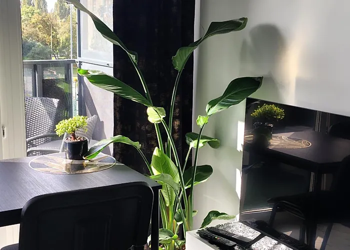 Sunset Sky Studio1 * Gdaňsk